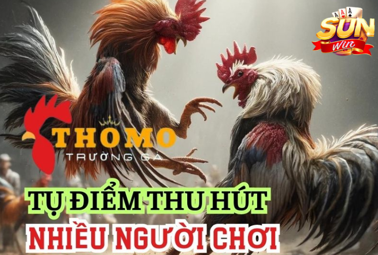 Những lợi ích khi tham gia đá gà tại Sunwin88